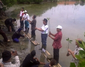 Replanting of Mangrove in LGF Activity 